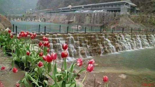 生化危机保护伞小队
